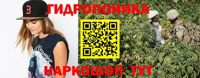 сатива Тверь